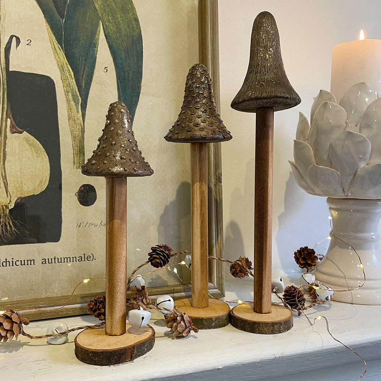 Wooden Toadstools Set of 3