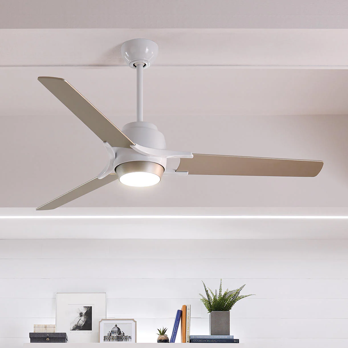 Zeus Indoor Ceiling Fans