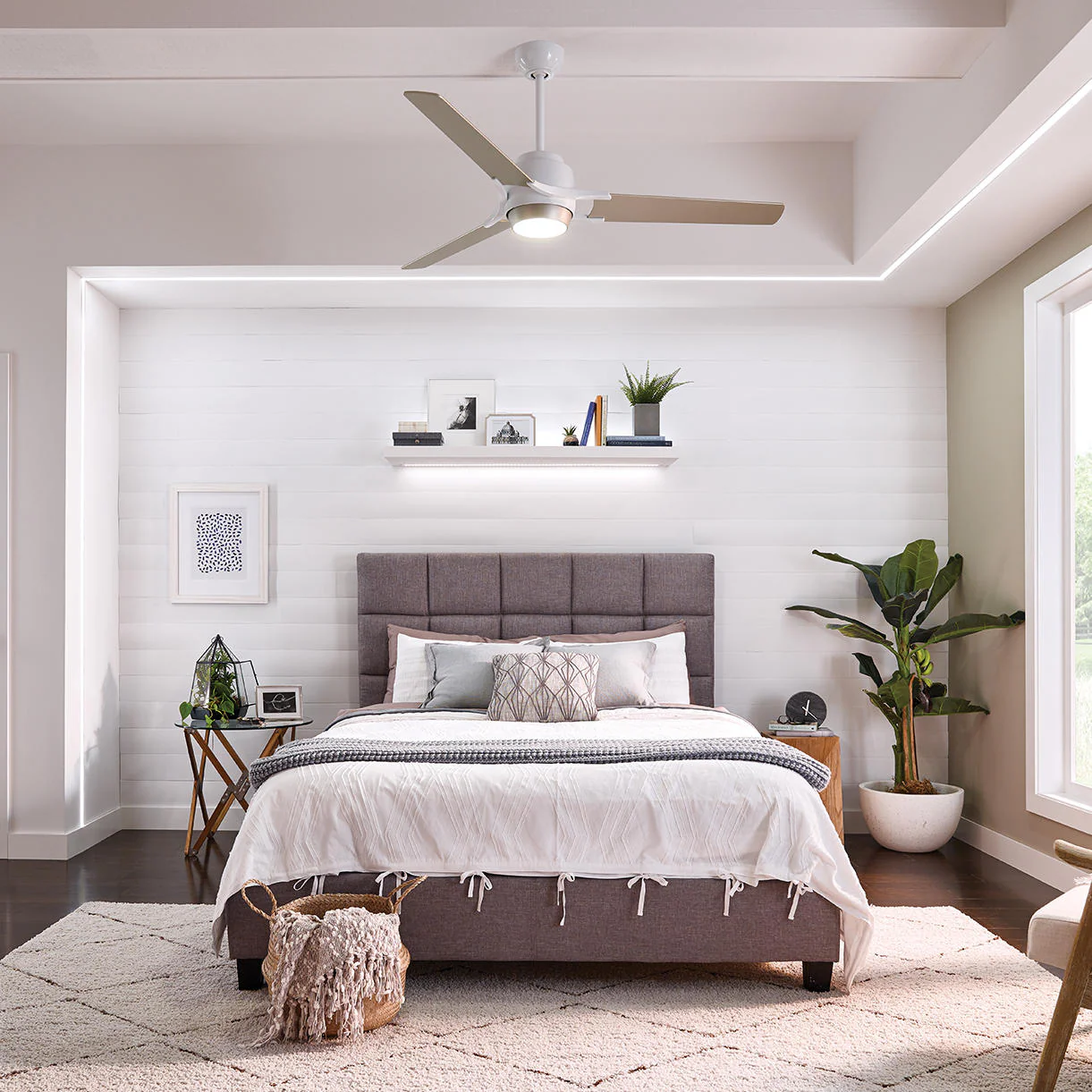 Zeus Indoor Ceiling Fans - Image 2