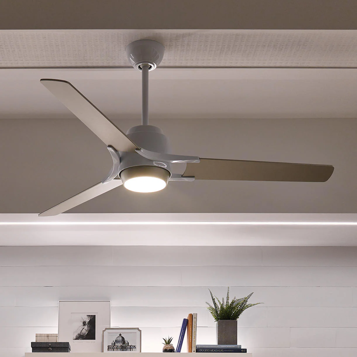 Zeus Indoor Ceiling Fans - Image 3
